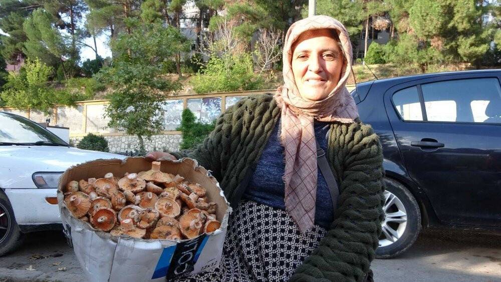 Dağlardan bin bir emekle getiriyorlar, kazancı dudak uçuklatıyor