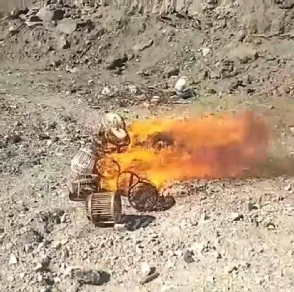 Kaçak avcıların kafesleri yakılarak imha edildi