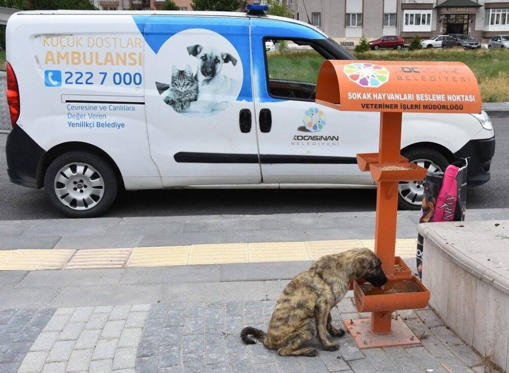 Küçük Dostlar Ambulansı, 4 bin 401 can kurtardı