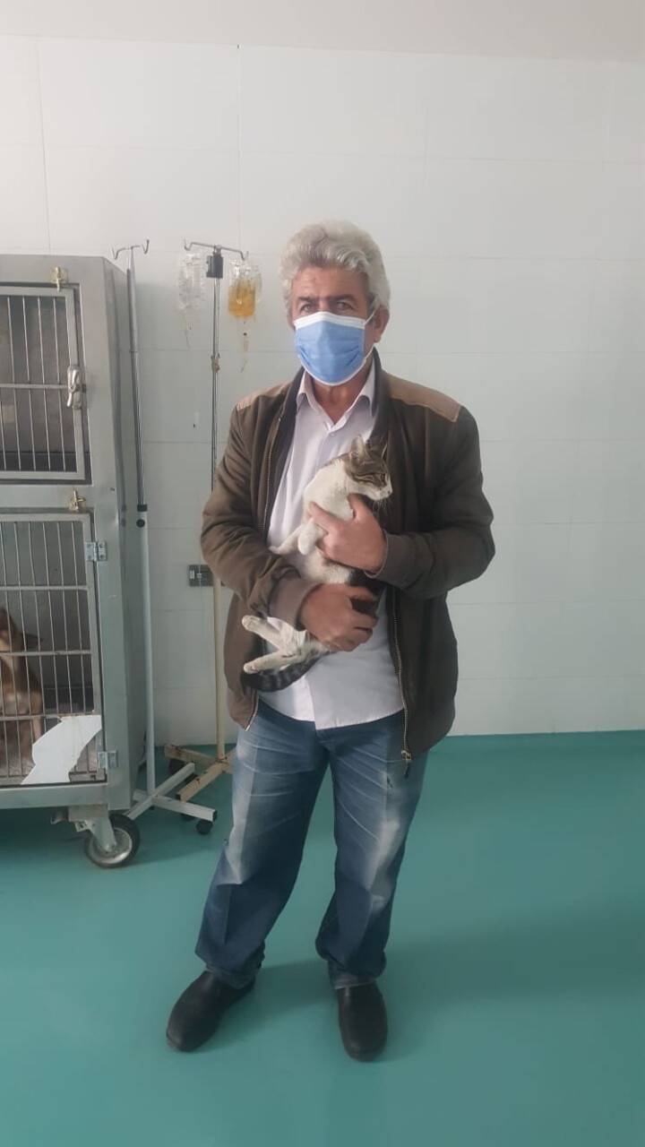 Akşehir Belediyesi yaralı kediye sahip çıktı