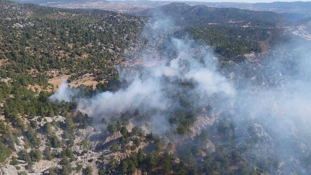 Bozyazı’daki yangında yaklaşık 10 dönüm ormanlık alan zarar gördü