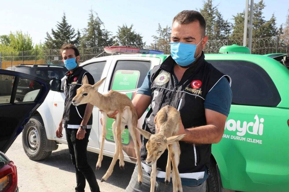 Çevre, Doğa ve Hayvanları Koruma Polisleri “dilsiz canları” yalnız bırakmıyor