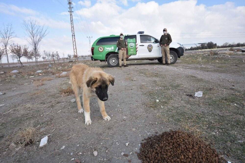 Çevre, Doğa ve Hayvanları Koruma Polisleri “dilsiz canları” yalnız bırakmıyor