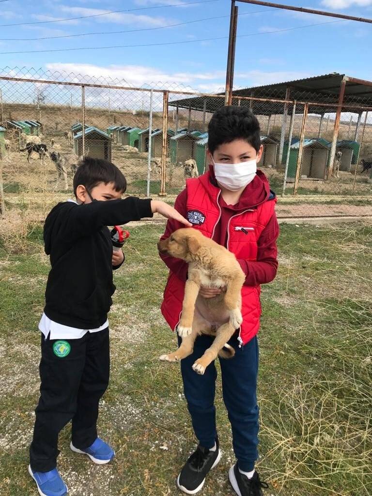 Kırıkkale’de öğrenciler hayvan barınağını ziyaret etti