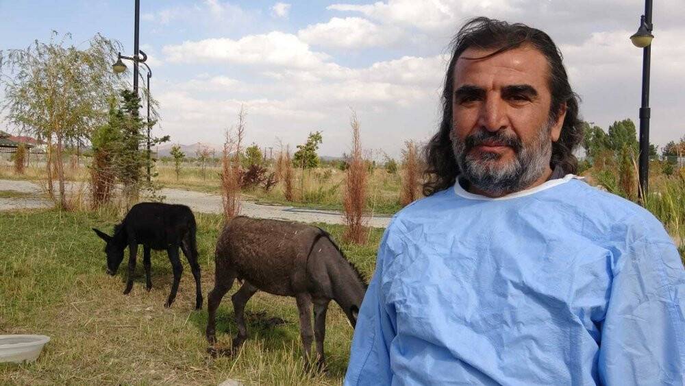 Türkiye’de nadir bilinen melez hayvan: Bardo