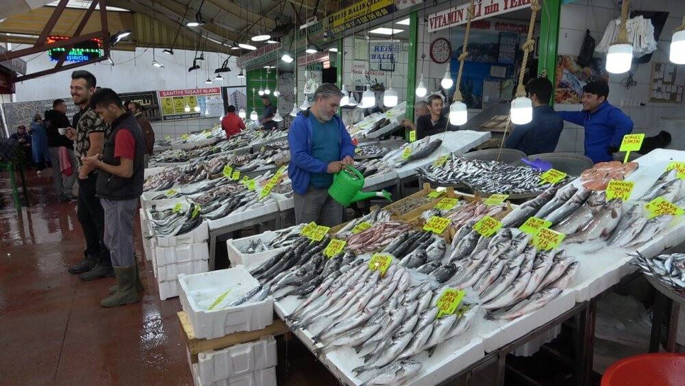 Balık tezgahlarında istavrit günü