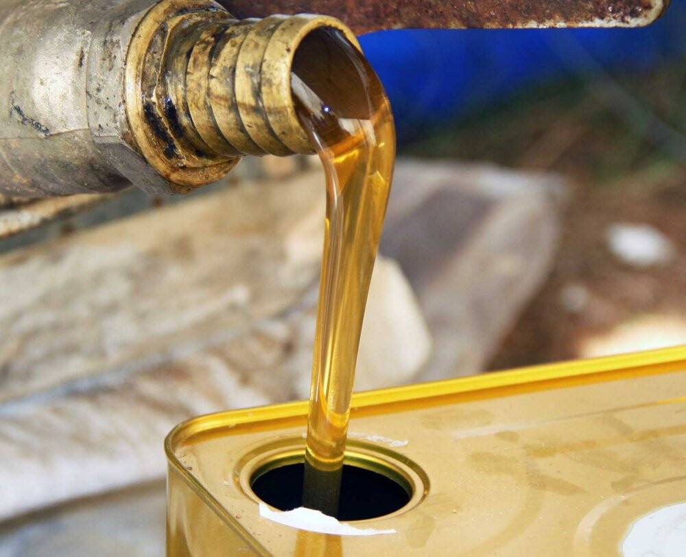 Çam balının merkezinde sıfır rekolte