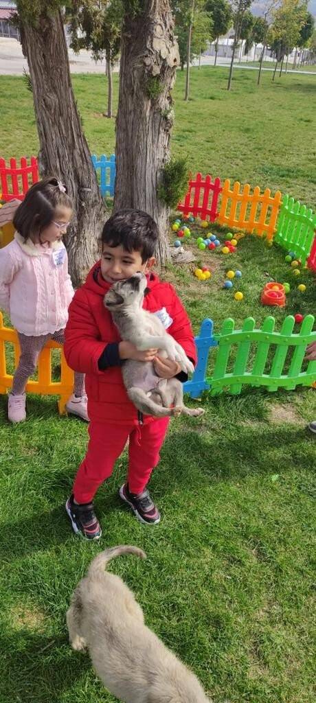Konya'da öğrencilerden Büyükşehir Belediyesi Hayvan Barınağına ziyaret