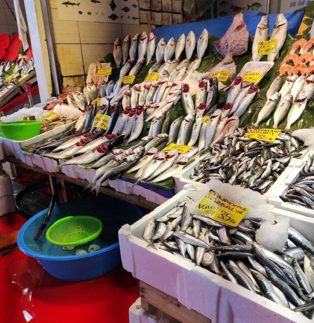 Tezgahlarda lüfer bolluğu devam ediyor