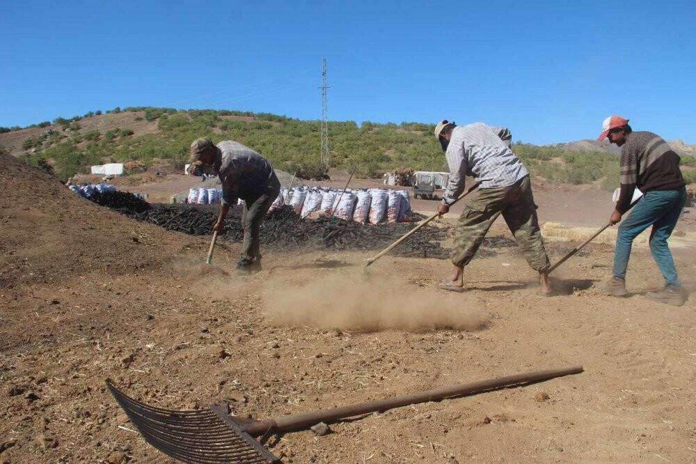Ekmeklerini taştan değil, kömürden çıkarıyorlar