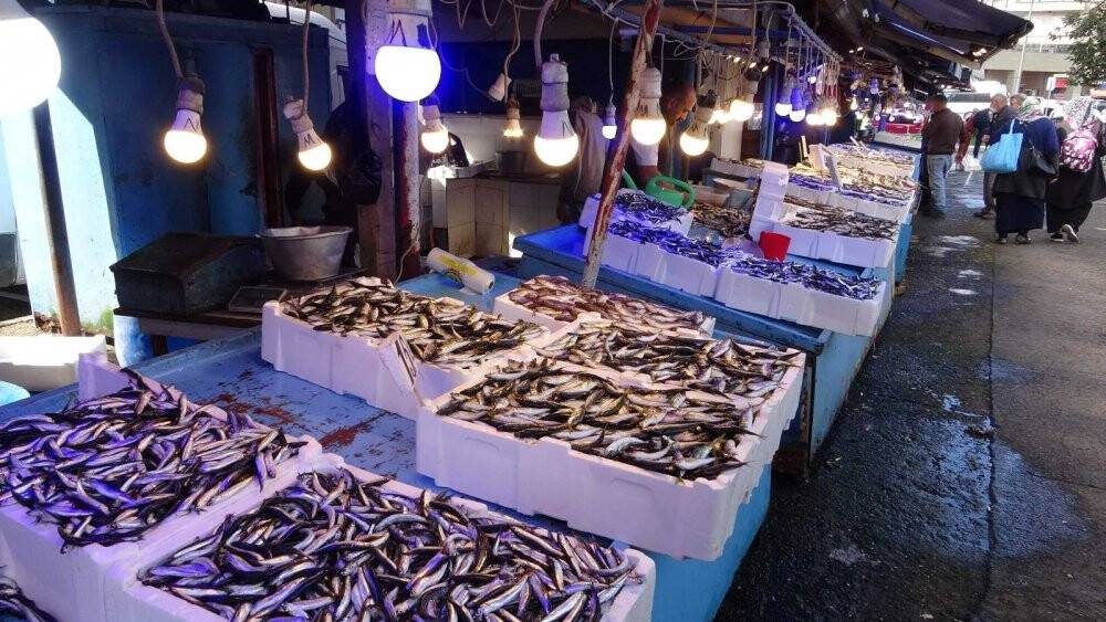 Hamsinin fiyatı 10 TL’ye kadar geriledi!  vatandaş tezgahlara akın etti
