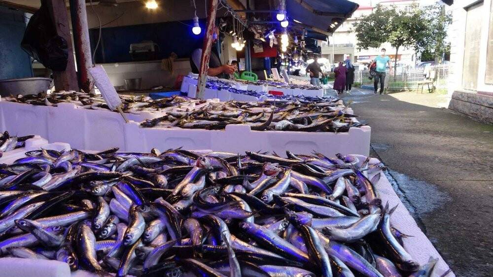 Hamsinin fiyatı 10 TL’ye kadar geriledi!  vatandaş tezgahlara akın etti
