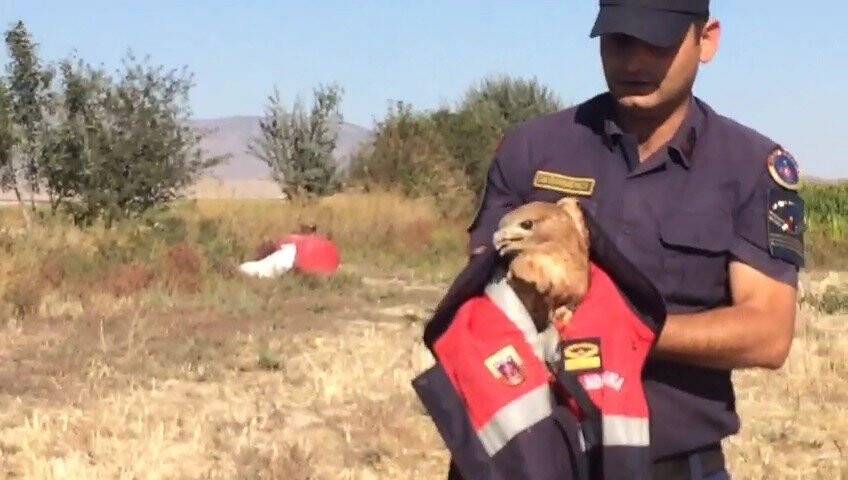 Konya'da Jandarmadan yaralı kartala şefkat eli