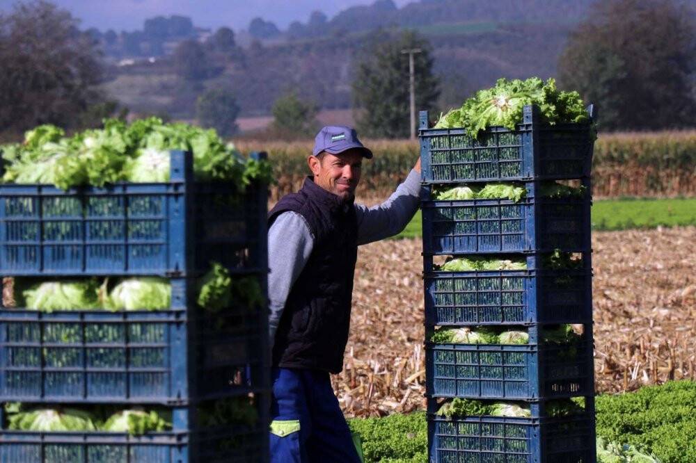 Tarlada 50 kuruş, markette 8 lira