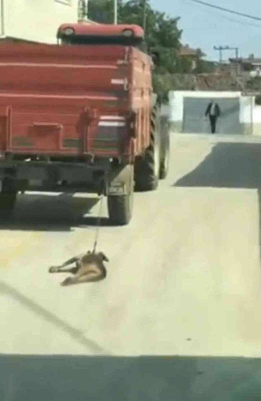 Köpeği sürükleyen traktör sürücüsü gözaltında