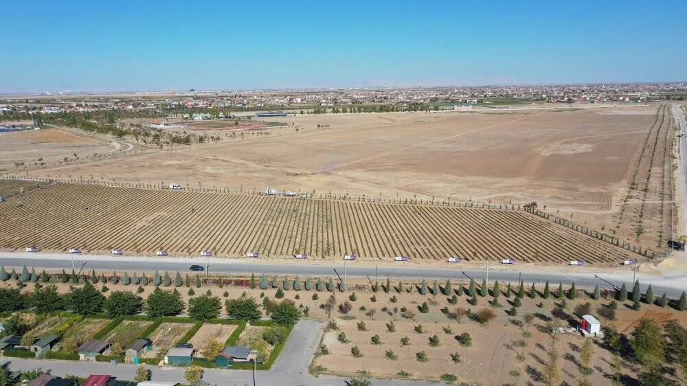 Karatay Belediyesi lavanta bahçesini büyütüyor