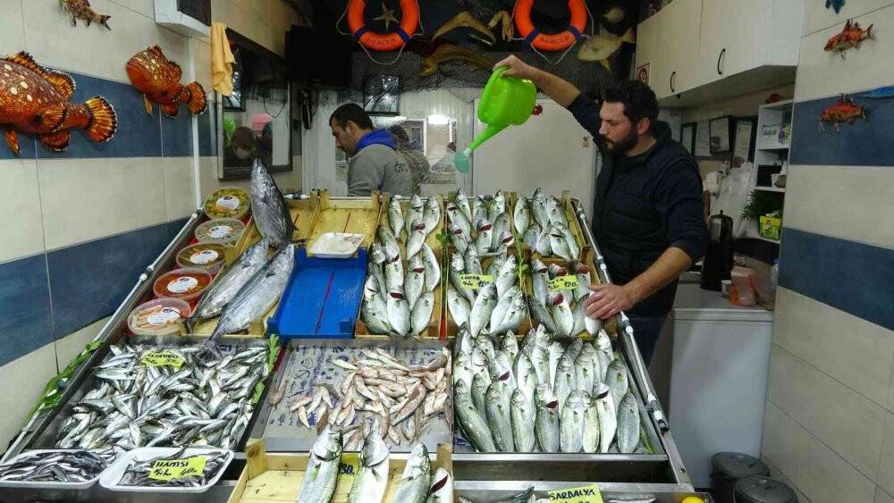 Çanakkale’de lüferin fiyatı arttı