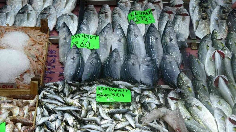 Çanakkale’de lüferin fiyatı arttı