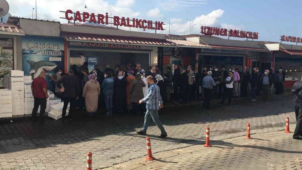 Hamsinin kilosu 5 TL’ye düştü! Vvatandaş tezgahlara akın etti
