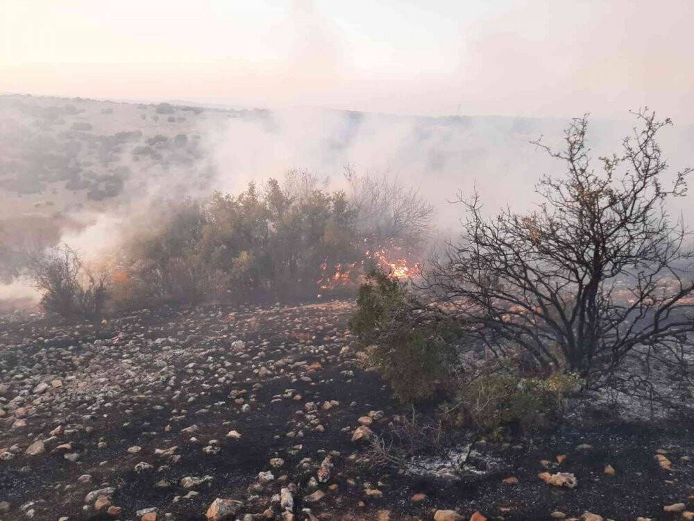 Korkutan orman yangını 5 saatte kontrol altına alındı