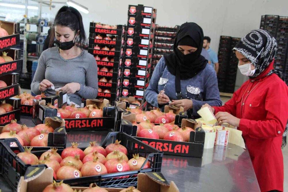 Nar ihracatında hedef bin 200 ton