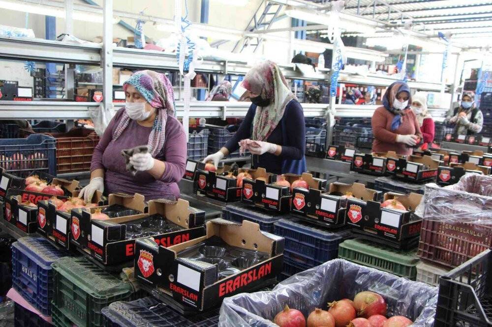 Nar ihracatında hedef bin 200 ton