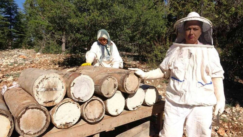 Yörüklerin 100 yıl önce göç yolunda ürettiği asırlık balı yeniden ürettiler