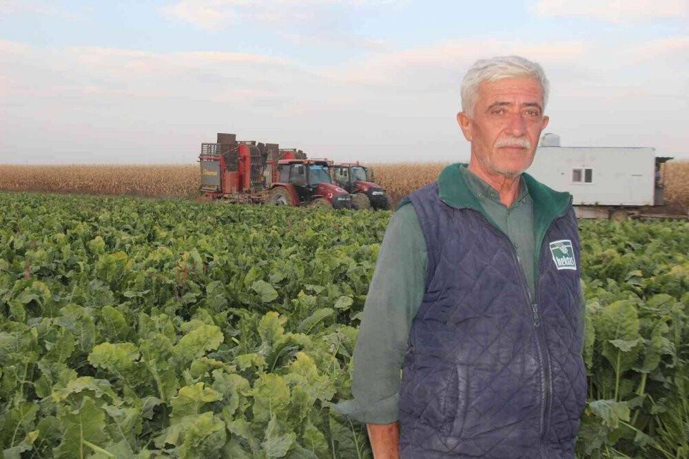 Şeker pancarının üretim üssü Konya’da hasat zamanı