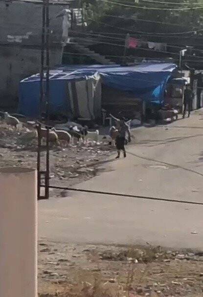 Adana’da film sahnelerini aratmayan silahlı çatışma