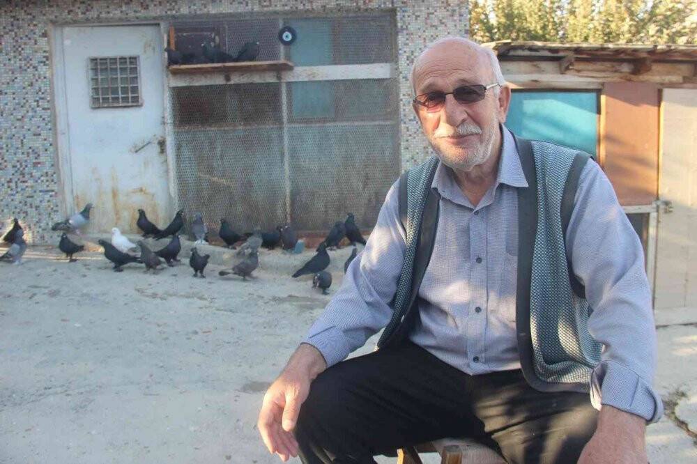 "Evladım" dediği güvercinlerine 50 yıldır bakıyor