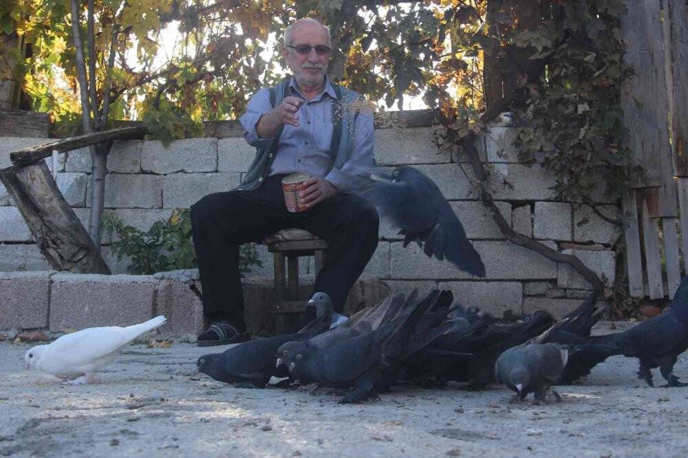 "Evladım" dediği güvercinlerine 50 yıldır bakıyor