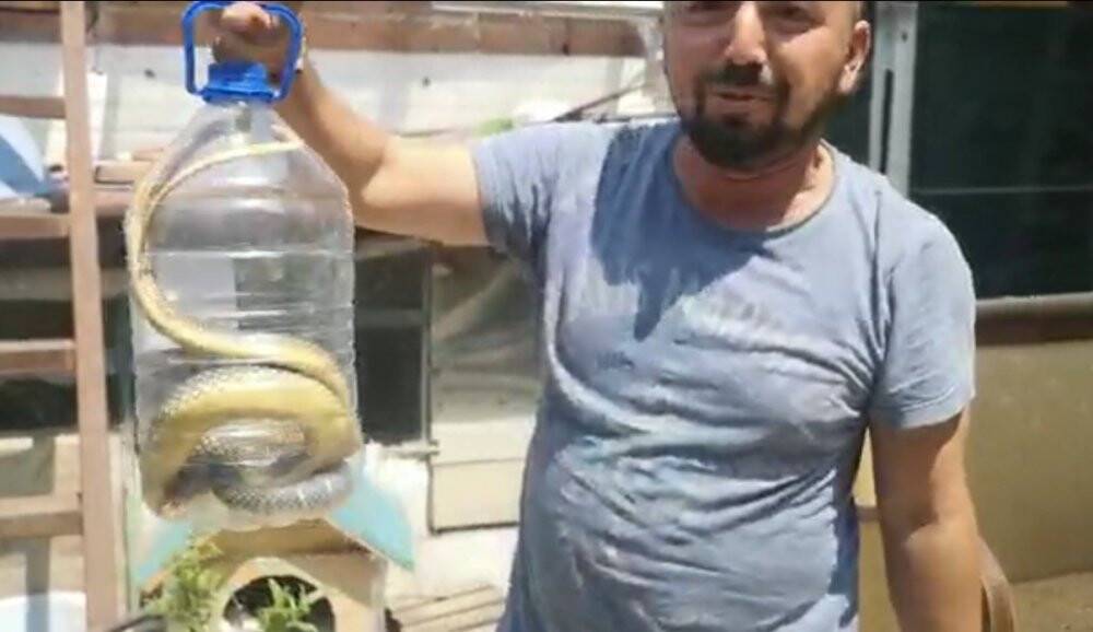Kış uykusuna yatmayan yılan eve girdi, herkes evi boşalttı