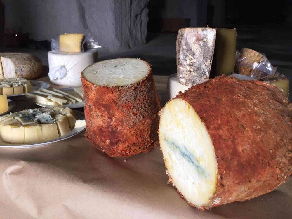 Fransa peynrine rakip ’Niğde Mavisi’