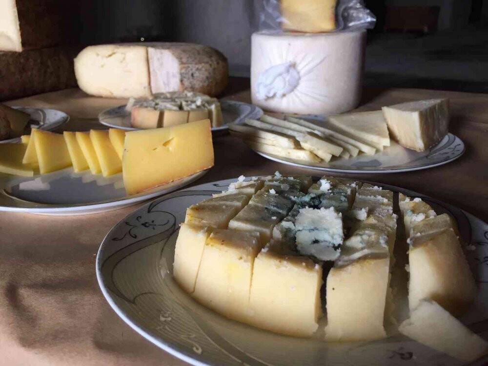 Fransa peynrine rakip ’Niğde Mavisi’