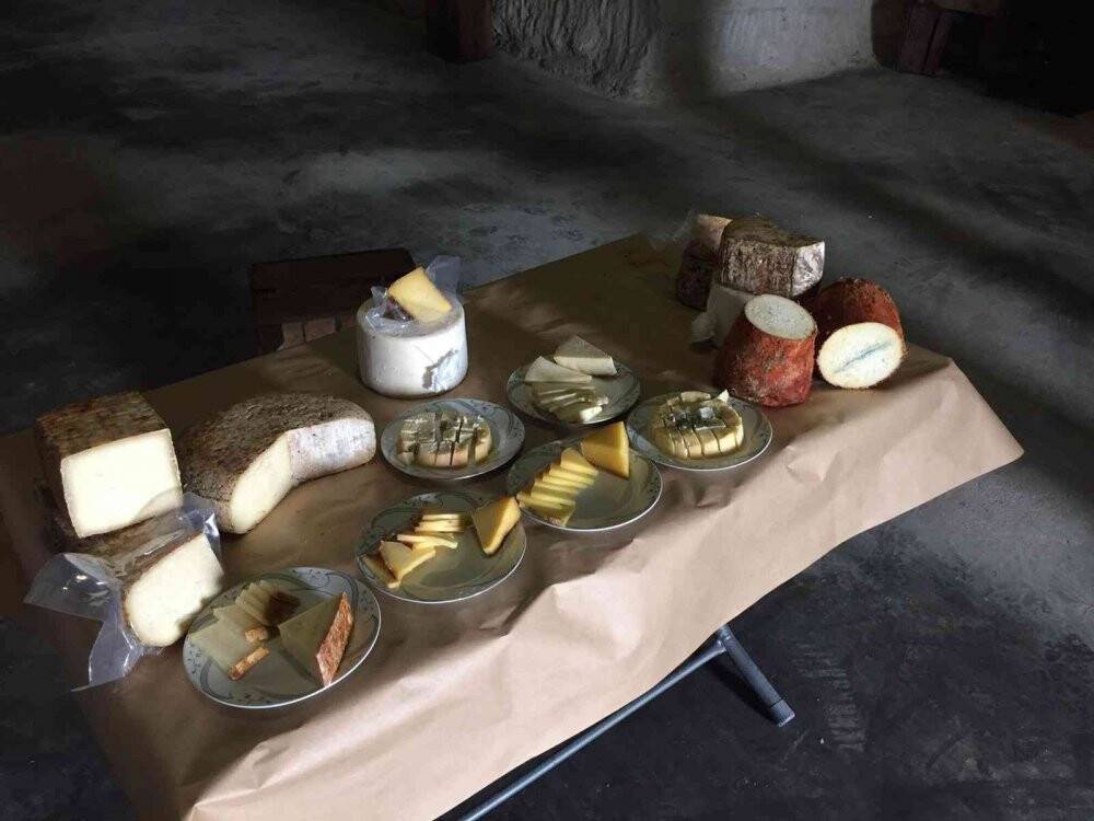 Fransa peynrine rakip ’Niğde Mavisi’