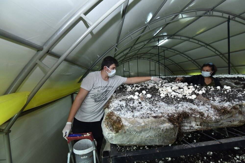 Karataylı öğrenciler hem öğreniyor hem kazanıyor