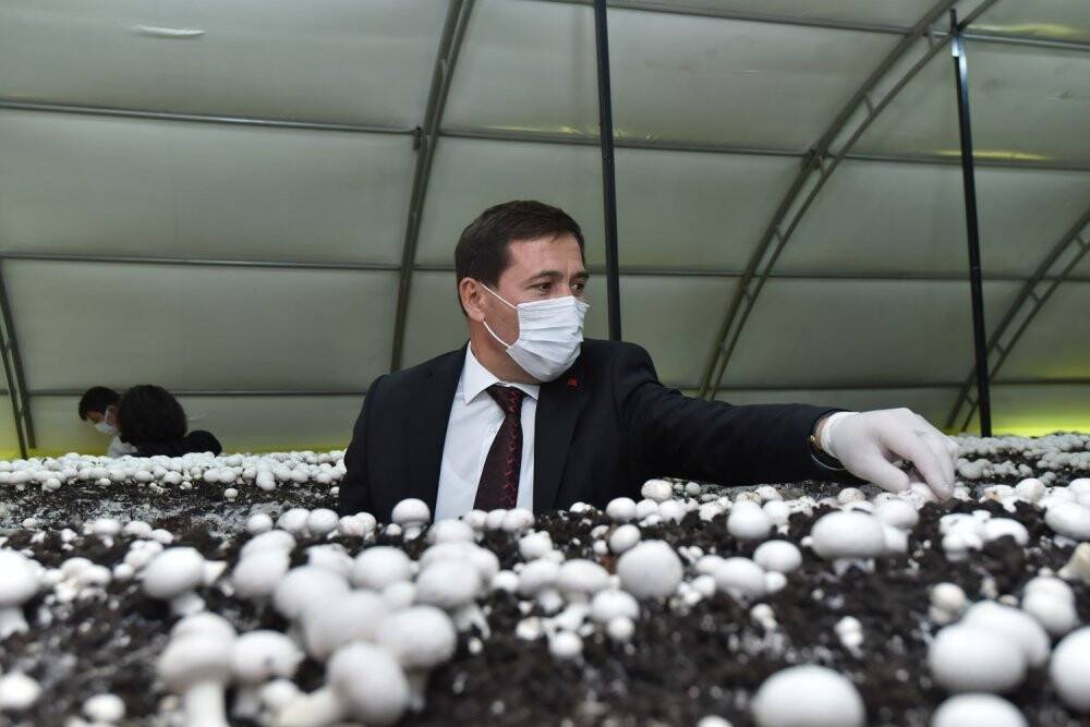 Karataylı öğrenciler hem öğreniyor hem kazanıyor