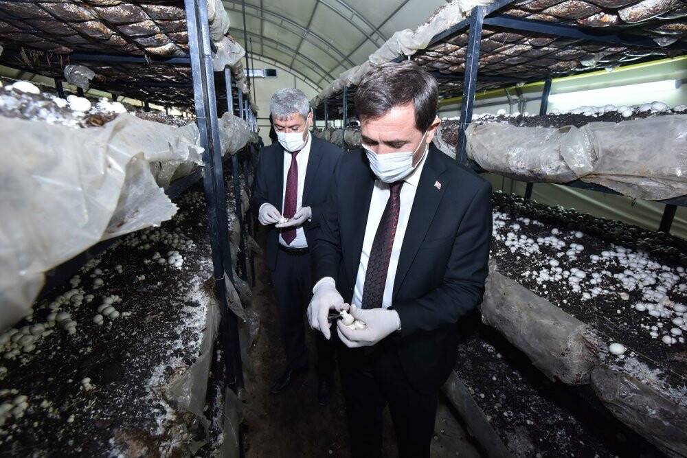 Karataylı öğrenciler hem öğreniyor hem kazanıyor