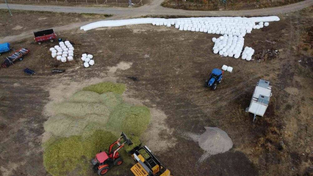 Konya’da silajlık mısır üretimi arttı