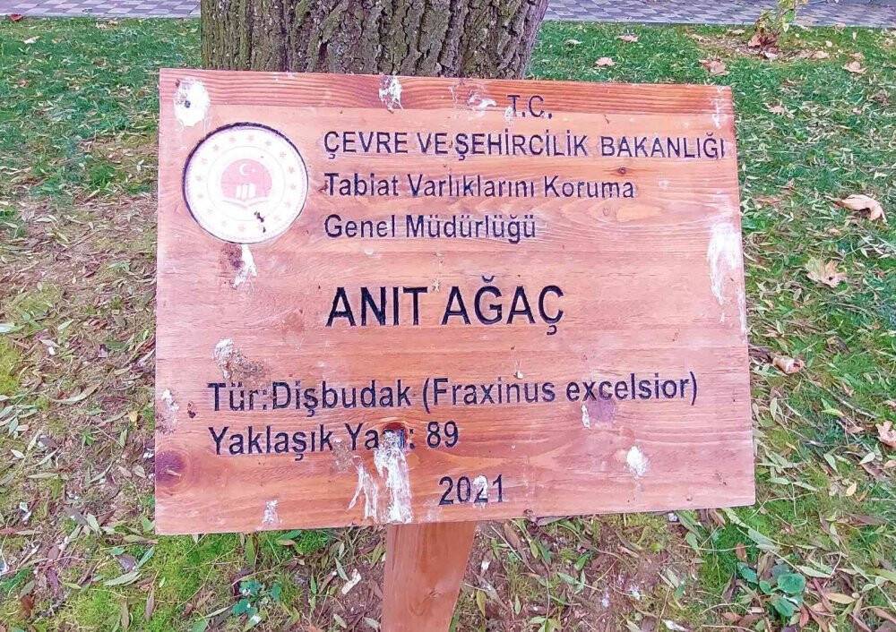 Tekirdağ’da iki devlet gören tabiatın sessiz tanıkları