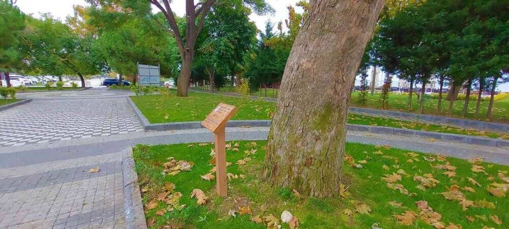 Tekirdağ’da iki devlet gören tabiatın sessiz tanıkları