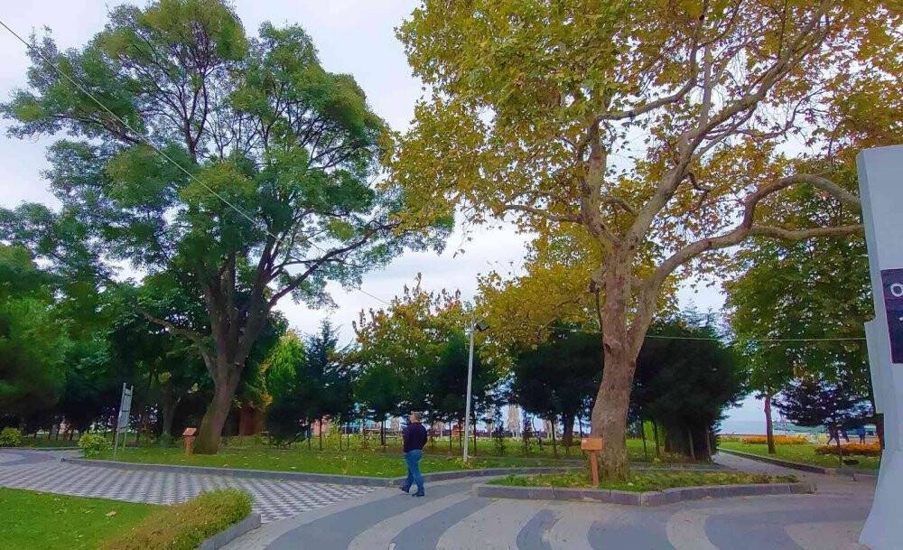Tekirdağ’da iki devlet gören tabiatın sessiz tanıkları