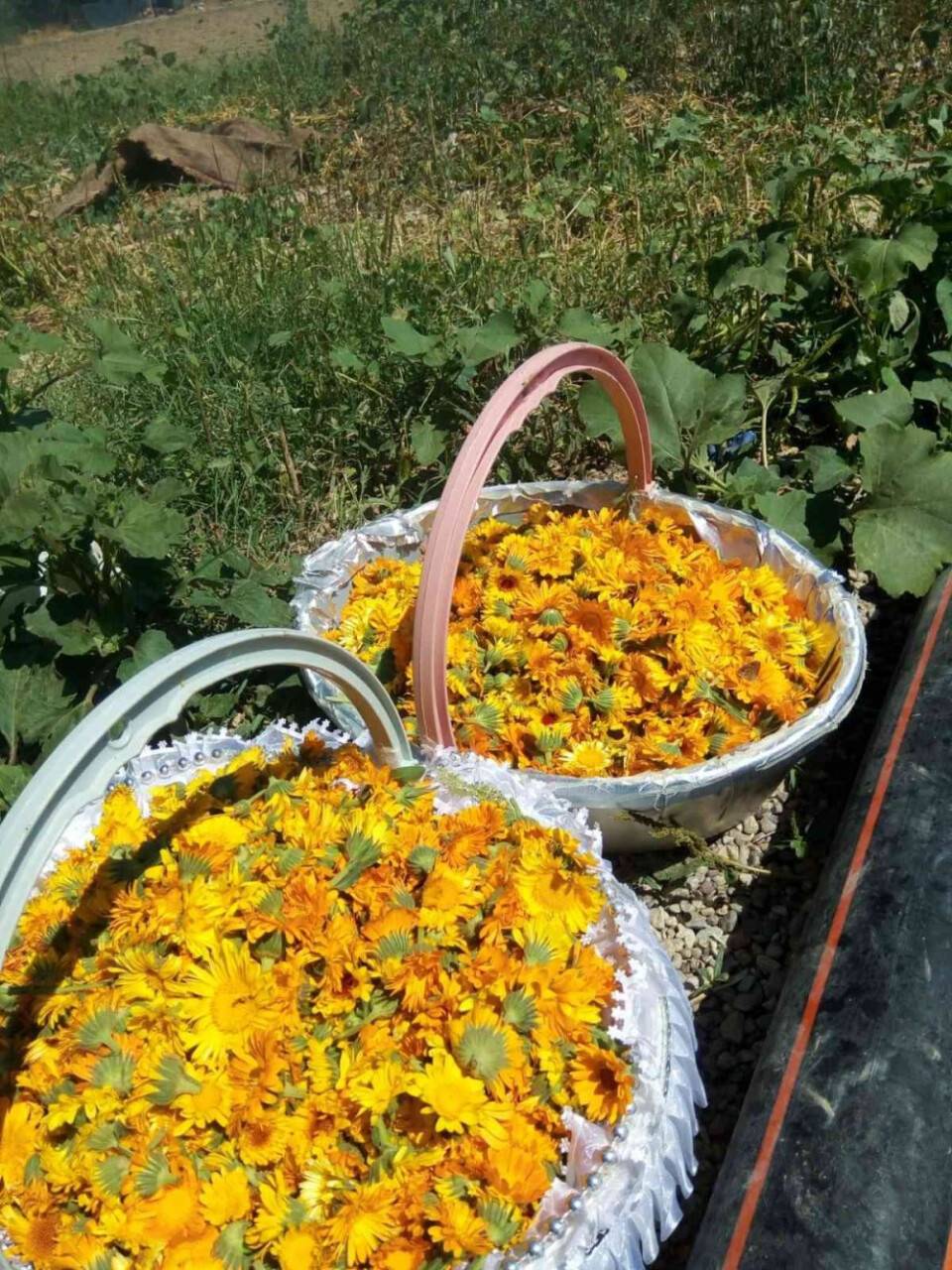 250 kadın yılda 4 milyon lira gelir elde ediyor