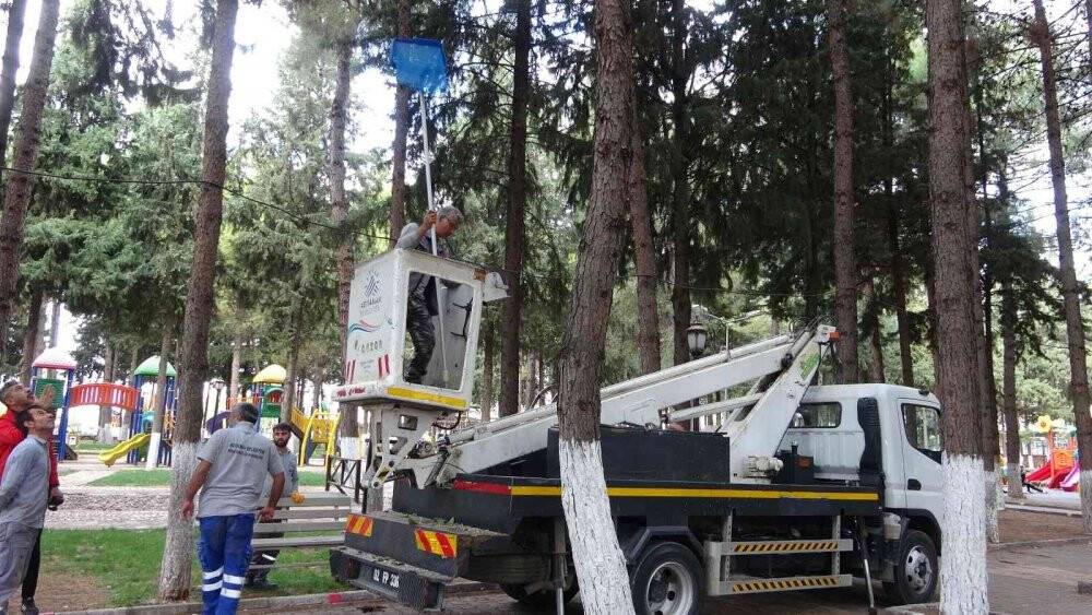 Çarşafla kedi kurtarma operasyonu