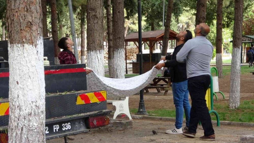 Çarşafla kedi kurtarma operasyonu