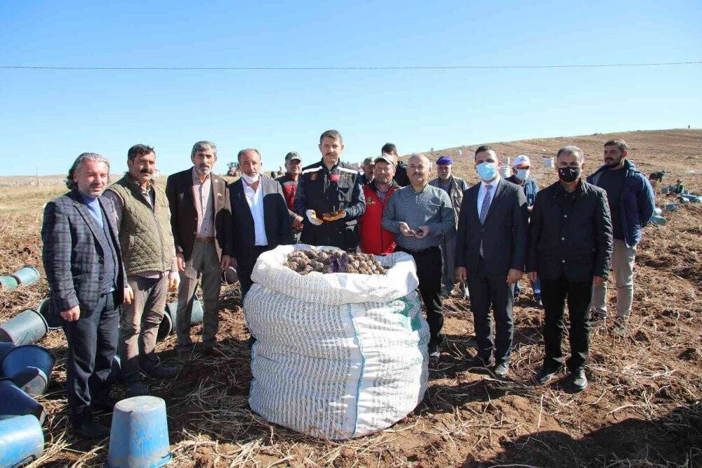 30 dekar tarlada üretildi, tüm Türkiye’nin ihtiyacı karşılanıyor