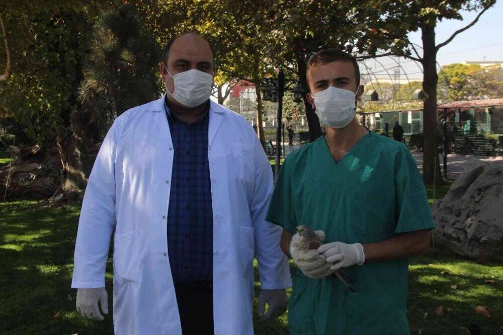 Atmacanın göz kapaklarını dikip ayaklarını bağladılar