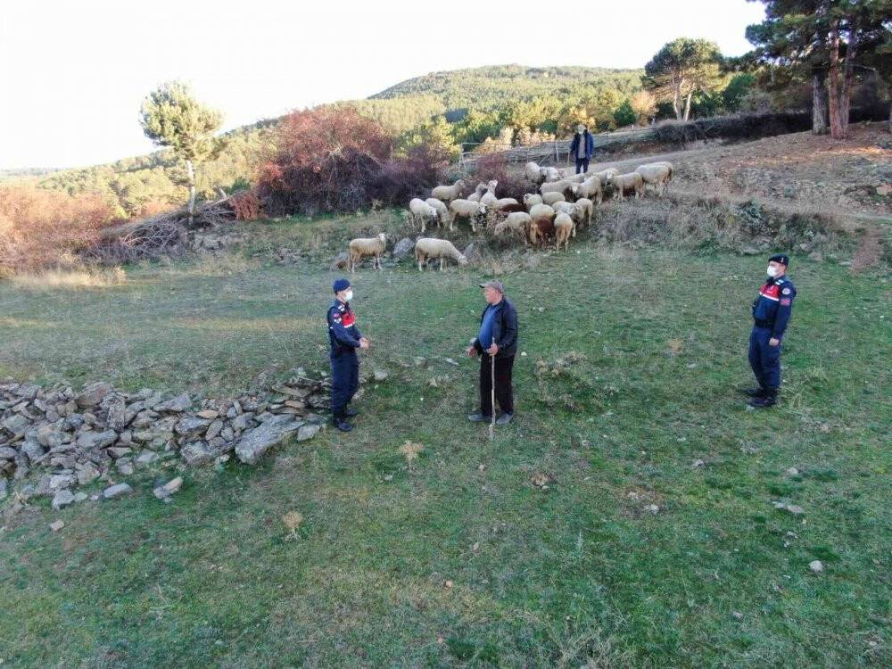 Kaybolan hayvanlar drone destekli arama çalışması ile bulundu