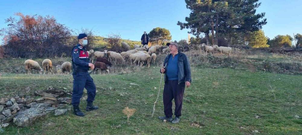 Kaybolan hayvanlar drone destekli arama çalışması ile bulundu
