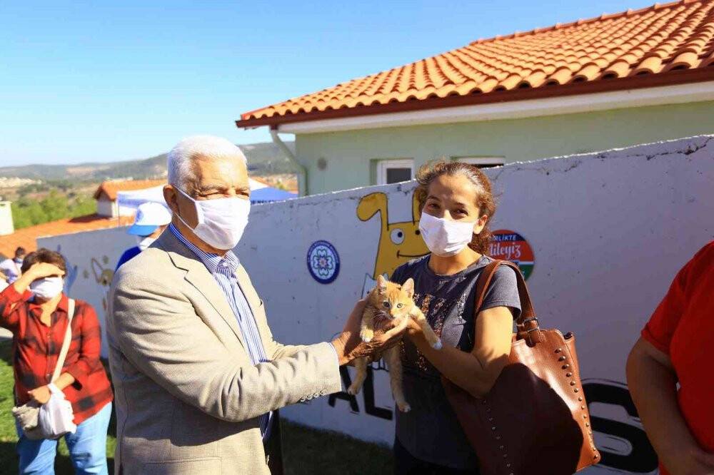 Sokak hayvanları ’mikroçip’ ile kayıt altına alınıyor